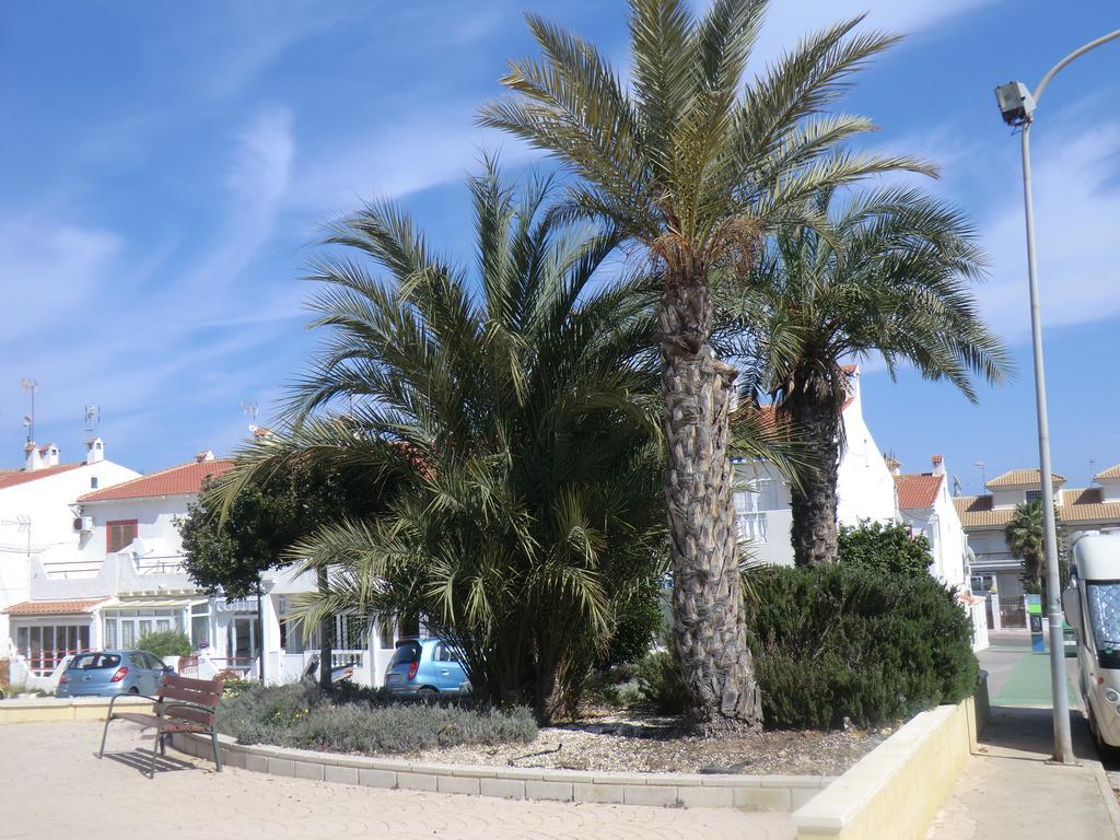 Casas Holiday - Playa La Mata 1 Torrevieja Extérieur photo